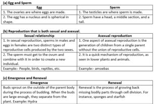 Image result for Reproduction in Humans Class 8 ICSE