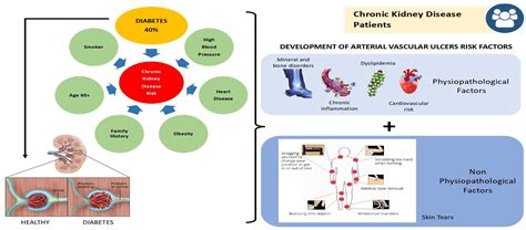 Diabetes, Chronic Kidney Disease, and Vascular Ulcers: Prevention ...