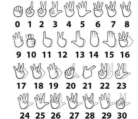Sign Language Numbers 1 20 的图像结果