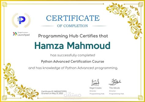 Python Advanced Course 的图像结果