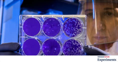 Springer Nature Experiments 的图像结果