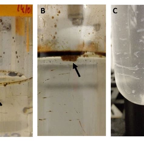 Rezultat imagine pentru MOS Formation