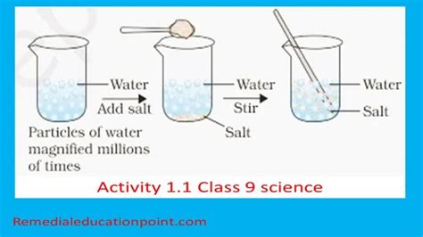 Image result for Activity 1.2 Class 10 Science