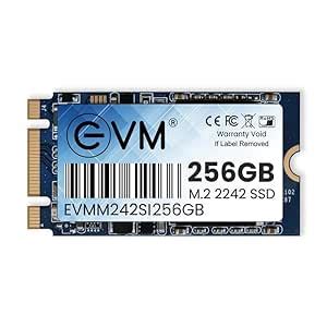 Amazon.in: Buy EVM 256GB M.2 (2242) SATA Internal SSD - 520MB/s Read ...