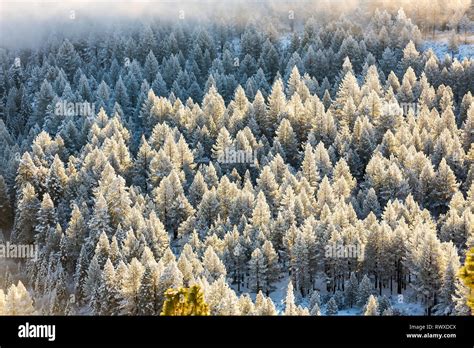 Image result for Matplotlib Widgets Inputs