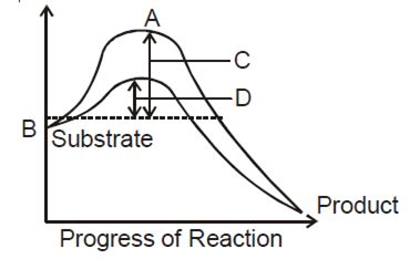 The figure given below shows the conversion of a substrate to product ...