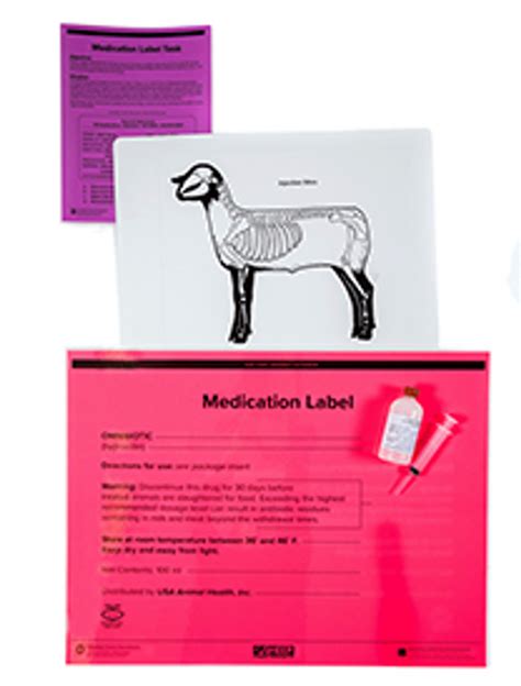 Image result for Sheep Science Lab