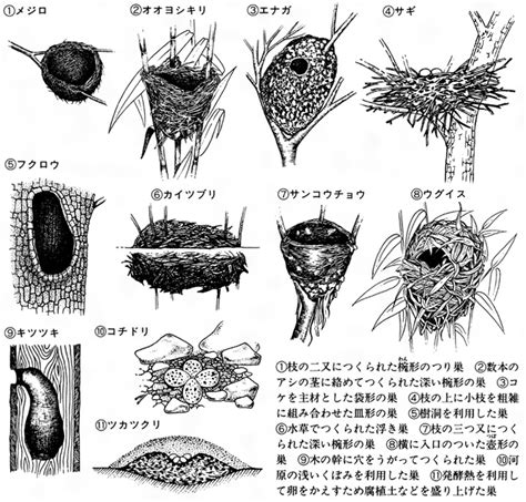 Image result for JavaScript Best Language