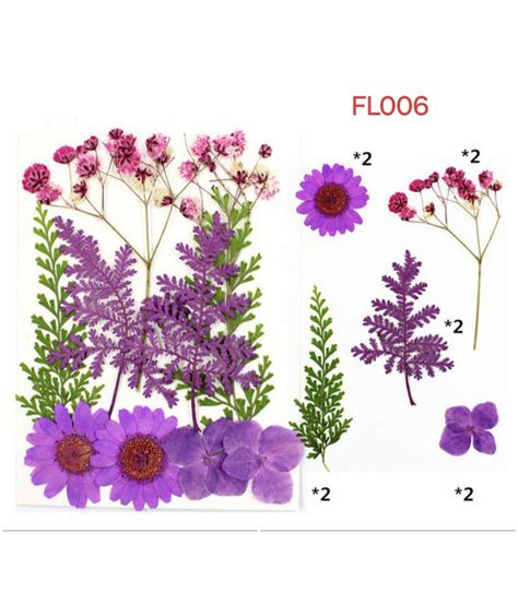 Pressed Flower FL006 – insane craft supplies