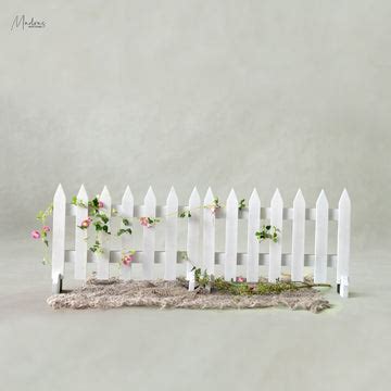 Windows & Doors – Madras Prop Store