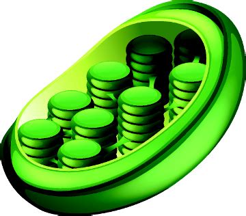 Image result for Some Basic SolidWorks Object