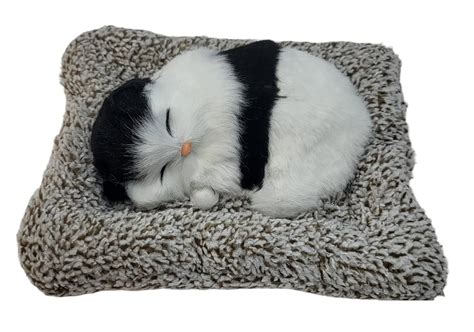 AUGEN Sleeping Cute Cat for Car Dashboard and Home Decor with Activated ...