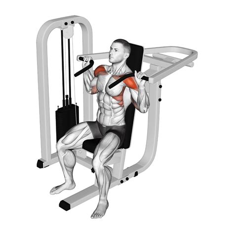 Image result for Handstand Push-Up Muscles Worked