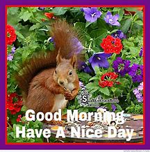 Image result for Wild Animal Good Morning