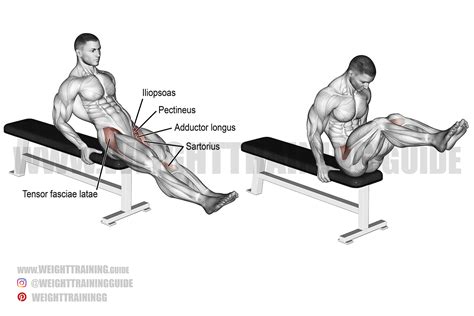 Leg Raises Exercise 的图像结果