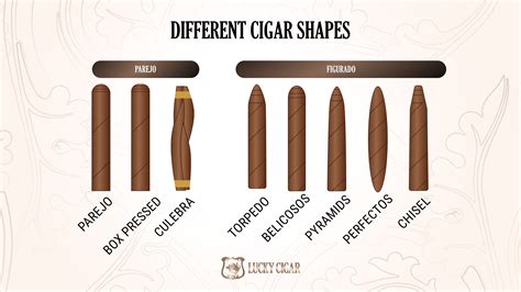 Guide to Different Types of Cigars: Size, Shape, Flavors & More ...