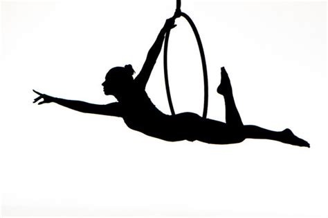 Image result for Aerial Hoop Drawing