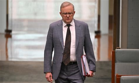 Anthony Albanese's misinformation bill is scrapped