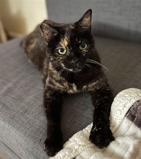 Image result for Pop Up Card Tutorial