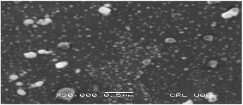 Biogenic Synthesis of Silver Nanoparticles Using Phagnalon niveum and ...