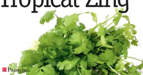 Why some people love coriander and others just hate it - The Economic Times