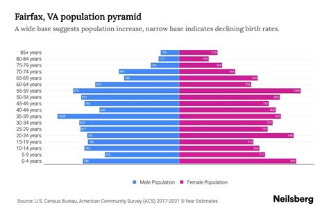 Fairfax, VA Population by Age - 2023 Fairfax, VA Age Demographics ...