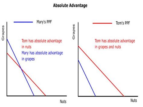 Absolute Advantage Table and Graph 的图像结果
