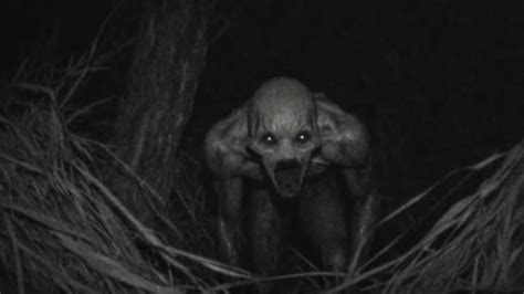 New Series "The ASMA Journals" Unleashes Terror on a Remote Community ...