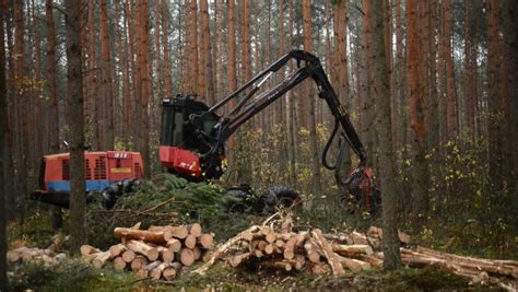 Image result for Tree Chopping Machine