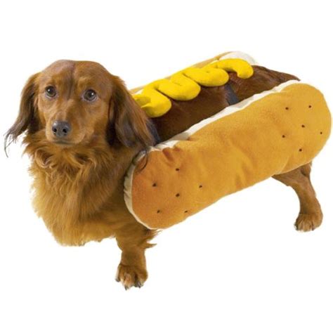 Hot Dog Costume