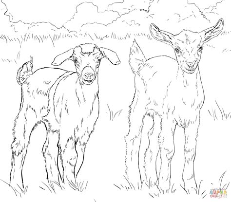 Baby Goats coloring page | Free Printable Coloring Pages
