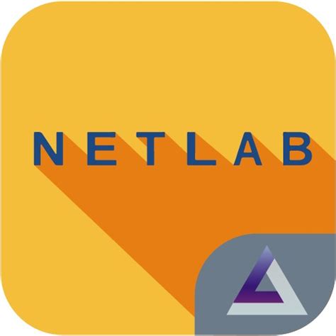 Приложение AdPar24 Netlab интеграция с B2B от разработчика Insmart