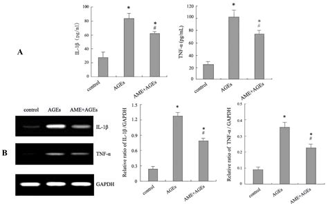 Astragalus membranaceus Inhibits Inflammation via Phospho-P38 Mitogen ...