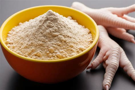 Chicken Feet Powder for Dogs: Benefits, Safety & Dosage Explained