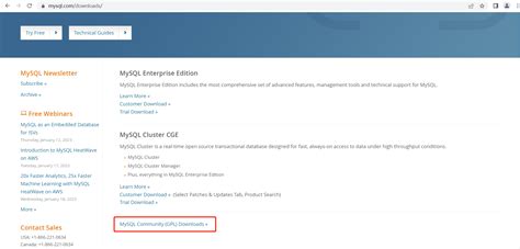 Oracle MySQL 的图像结果