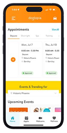 Image result for How to Download Dogtopia Java