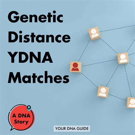 Image result for DNA Match Chart