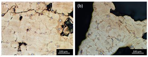 Failure Mechanisms of an Al 6061 Alloy Foam under Dynamic Conditions