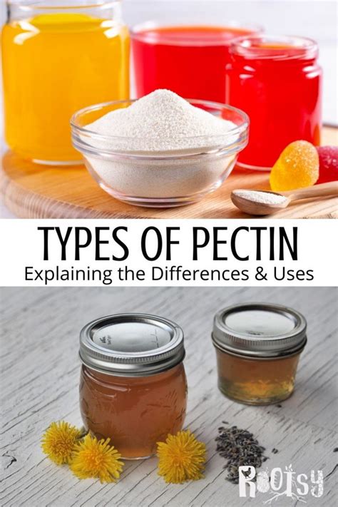 Image result for Pectin Sources