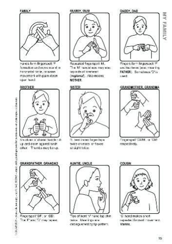 Image result for Food Processing Coding Machine