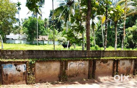 21 സെന്റ് വസ്തു രാമപുരം LP School ജംഗ്ഷൻ പടിഞ്ഞാറ് - Lands & Plots ...