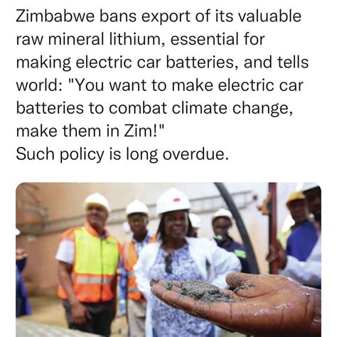 Zimbabwe 🇿🇼 Protecting her Natural resources?🤔 | Elizabeth Nasaka | 22 comments