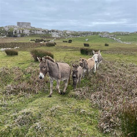 WITHIN THE VILLAGE (Roundstone) - Lodging Reviews, Photos, Rate ...