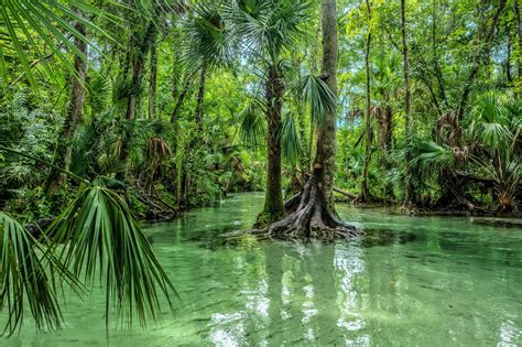 12 National Parks and Gardens near Orlando - Orlando Parks, Gardens and ...