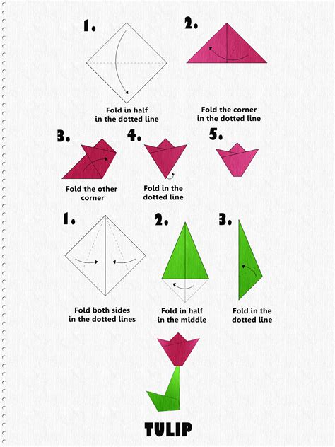 Image result for Easy Origami Steps