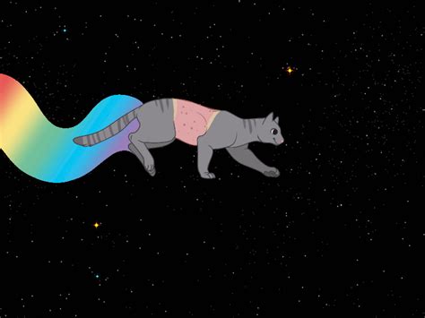 Image result for GIF Examples