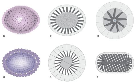 Biomineralization in the Calcareous Nannoplankton Phenotypic ...