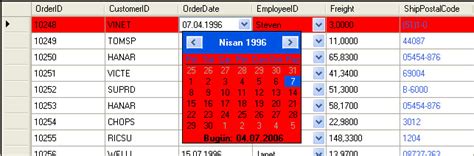 Image result for DataGridView Add Icon
