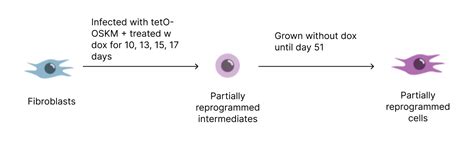 Image result for Partial Reprogramming