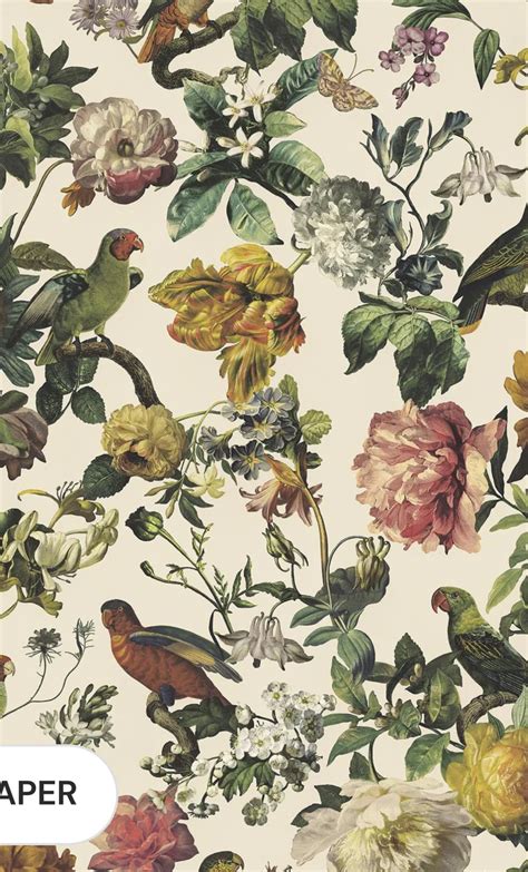 Cassandra Peters Pinup